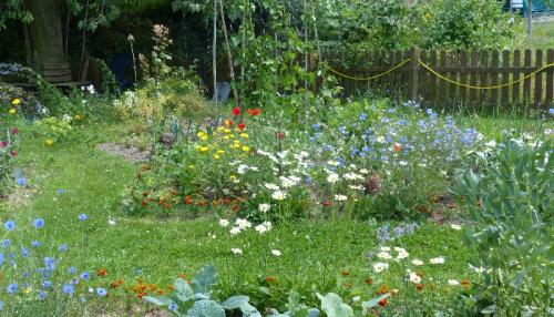 In diesem bunten Garten mit verschiedensten Pflanzen sprießt das Leben. Foto: Betina Küchenhoff