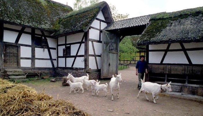 Ländliche Idylle im Museum? Foto: © Hans-Theo Gerhards__LVR